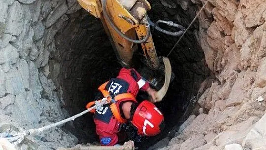 Kurbanlık dana kuyuya düştü