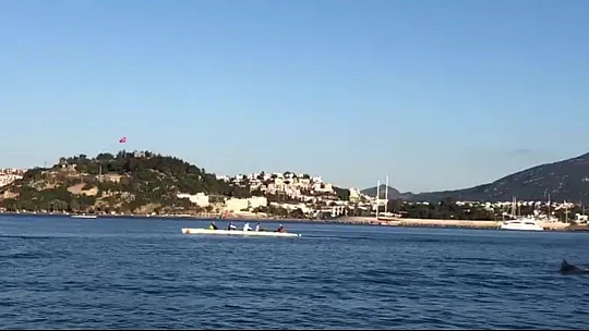 Kürekçilere yunus sürprizi