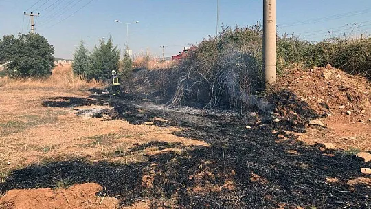 Kuş tarlayı yakıyordu