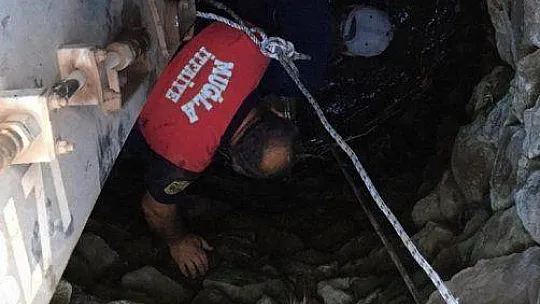 Kuyuya düşen ineği itfaiye ekipleri kurtardı