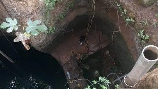 Kuyuya düşen kedi çaresizce kurtarılmayı bekledi