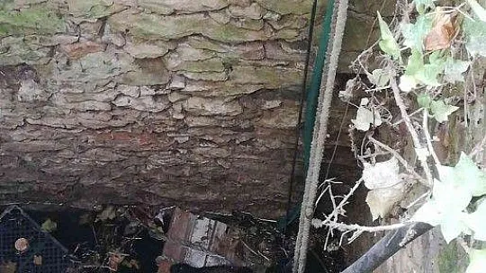 Kuyuya düşen köpeği itfaiye kurtardı