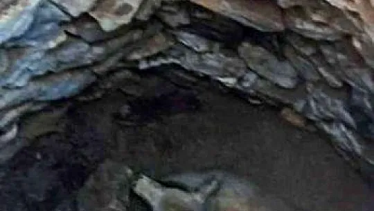 Kuyuya düşen Kuzu'yu itfaiye kurtardı