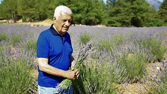 İlk Lavanta Hasadı Başkan Gürün'den 