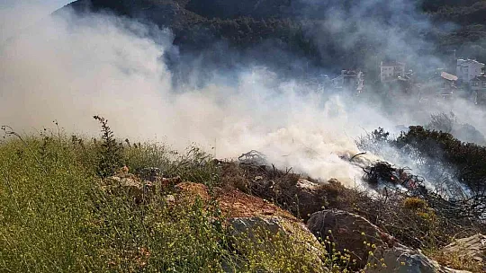 Makilik yangını ormana sıçramadan söndürüldü