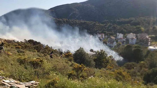 Makilik yangını ormana sıçramadan söndürüldü