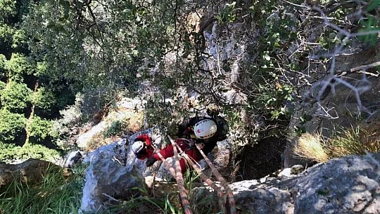 Marmaris AKUT ekibinden keçi kurtarma operasyonu
