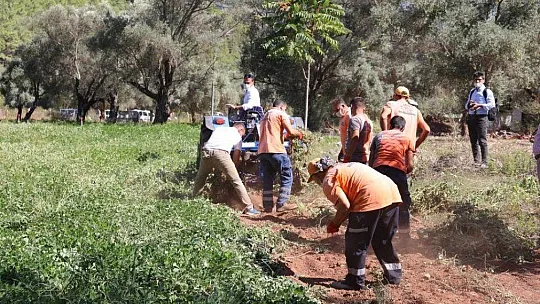 Marmaris Belediyesi ilk yerfıstığı hasadını yaptı