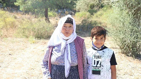 Marmaris Belediyesi ilk yerfıstığı hasadını yaptı