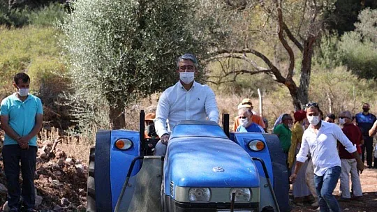 Marmaris Belediyesi ilk yerfıstığı hasadını yaptı