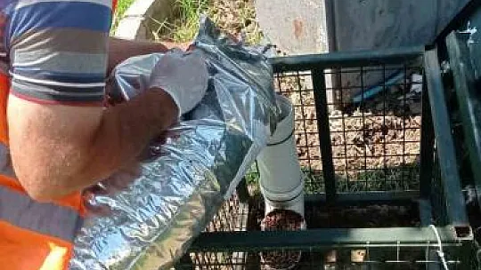 Sıcaklarda can dostlar için seferber olundu