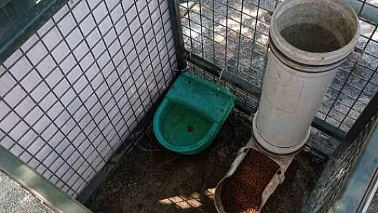 Sıcaklarda can dostlar için seferber olundu