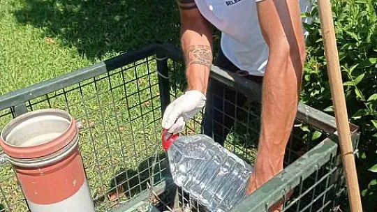 Sıcaklarda can dostlar için seferber olundu