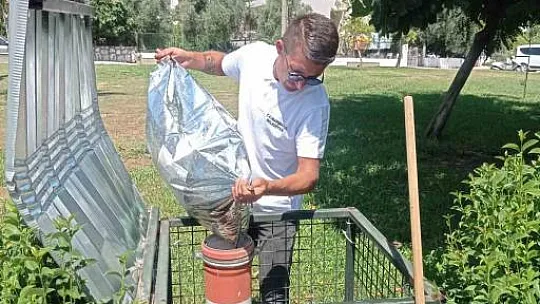 Sıcaklarda can dostlar için seferber olundu