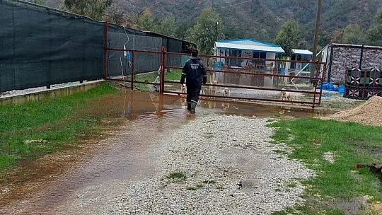 Marmaris Belediyesi, selde can dostları unutmadı