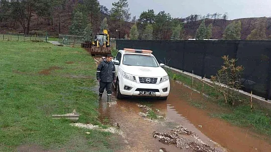 Marmaris Belediyesi, selde can dostları unutmadı