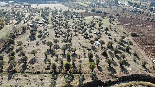 Marmaris Belediyesi tarımsal gelişmeye önem veriyor