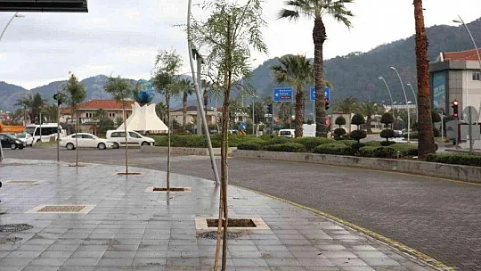 Marmaris'in kaldırımları yemyeşil oluyor