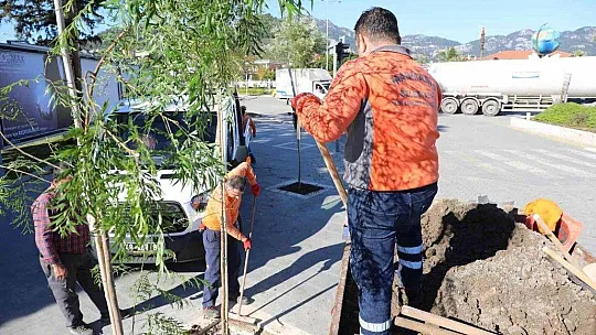 Marmaris'in kaldırımları yemyeşil oluyor