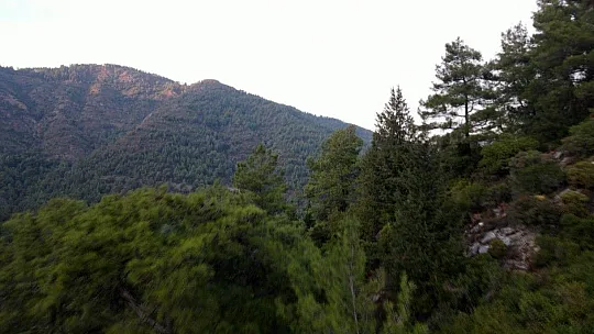 Marmaris'in yangın öncesi ve sonrası havadan görüntüleri, felaketin boyutunu gözler önüne serdi