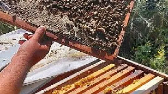 'Memleketten Selam Var' projesi sürüyor