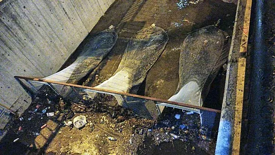 Marmaris'te 10 ton atığın denize ulaşması engellendi