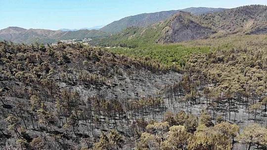 Marmaris'te alev savaşçılarının nöbeti devam ediyor