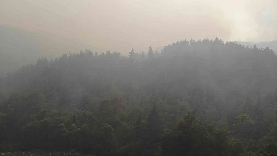 Marmaris'te alevler çöplük mevkiine ilerliyor