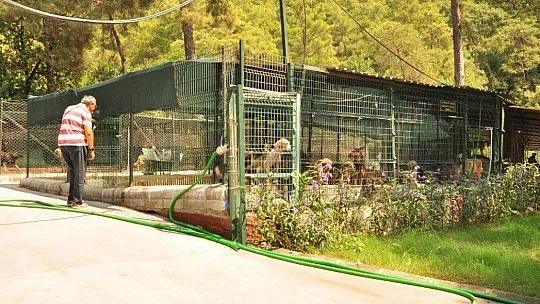 Marmaris'te can dostlar unutulmuyor