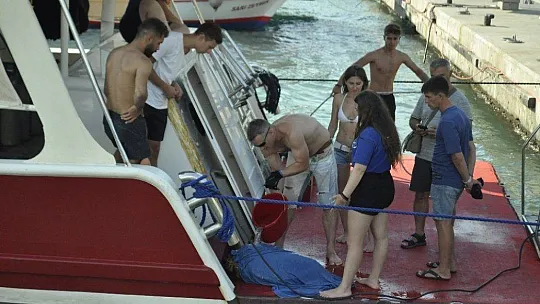Marmaris'te caretta kamlumbağasının yardımına tur teknesi koştu