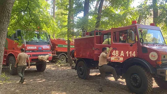 Marmaris'te çıkan yangın söndürüldü