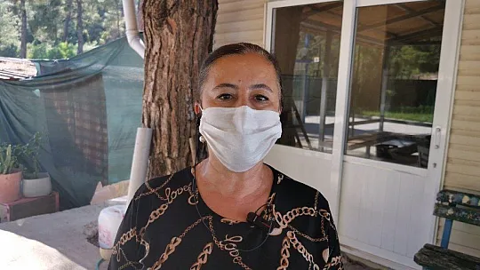 Marmaris'te çöpe atılarak ölüme terk edilen koça belediye sahip çıktı