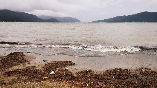 MARMARİS'TE DENİZİN RENGİ KAHVERENGİYE DÖNDÜ