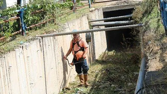 Marmaris'te dere yatakları kışa hazırlanıyor