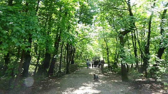 Ekoloji için buluşan öğrenciler doğa içinde çevreyi tanıdı