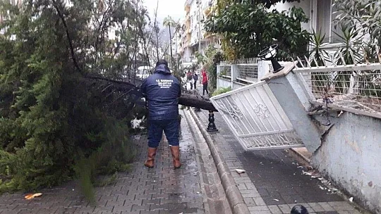 Marmaris'te fırtına sonrası çalışmalar sürüyor