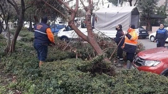 Marmaris'te fırtına sonrası çalışmalar sürüyor