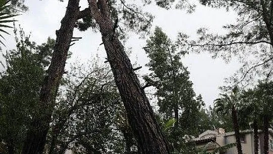 Marmaris'te fırtına sonrası çalışmalar sürüyor