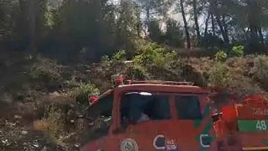 İki ayrı noktada orman yangını başladı