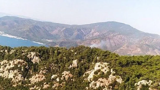 Marmaris'te orman yangını