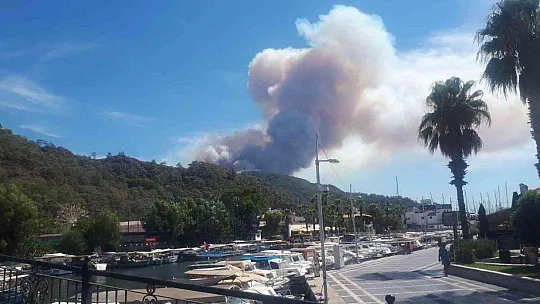 Marmaris'te orman yangınına havadan ve karadan müdahale başladı