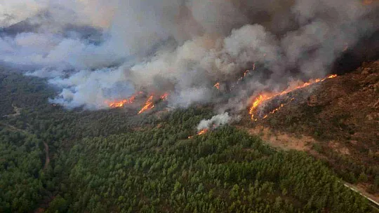 Marmaris'te orman yangınına havadan ve karadan müdahale başladı