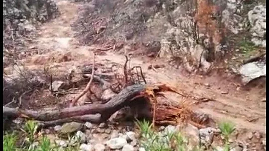 Marmaris'te sağanak yağış etkili oldu