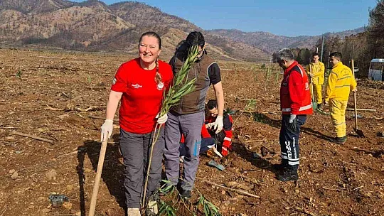 MARMARİS'TE SAĞLIK ÇALIŞANLARI BİN 120 FİDANI TOPRAKLA BULUŞTURDU