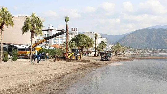 Marmaris'te sahili palmiyeler kaplayacak
