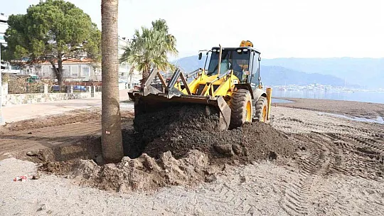 Marmaris'te sahili palmiyeler kaplayacak