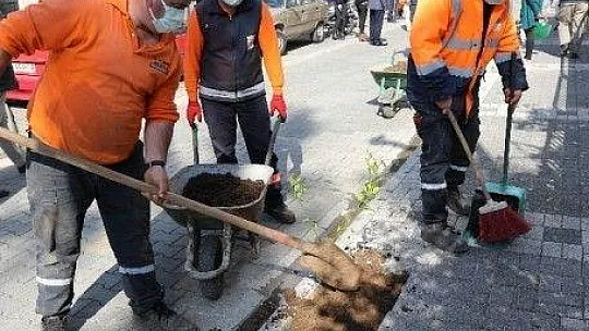 Marmaris'te sokaklar limon kokacak