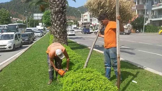4 yılda 81 bin metrekare yeşil alan düzenlendi