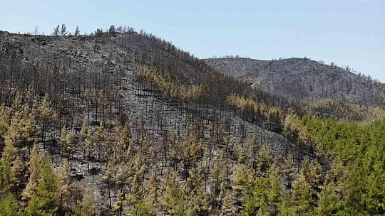 Marmaris'te söndürülen alanlar havadan görüntülendi