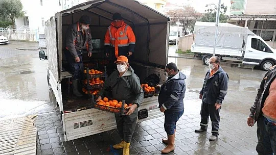 Marmaris'te toplanan turunçlar vatandaşlara dağıtıldı